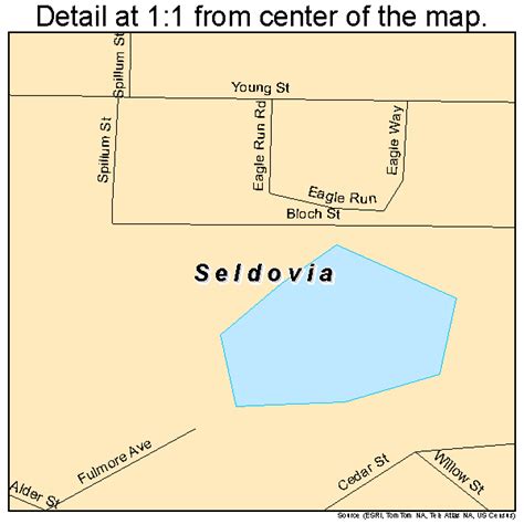 Seldovia Alaska Street Map 0268340