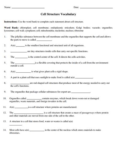 7th Grade Life Science Worksheets