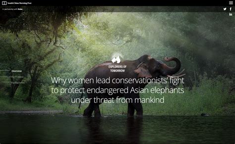 Elephant Nature Park Media Coverage South China Morning Post Why