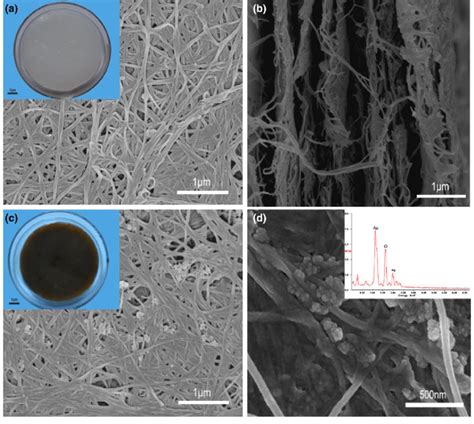 Sem Images Of A Surface Morphology Of Bc Inset Is An Optical Image B