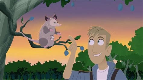 Wild Kratts Wombat