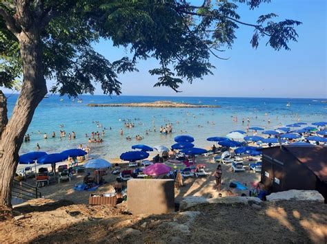 Fig Tree Bay On Trip Advisor Is Features Today As Amoung The Best