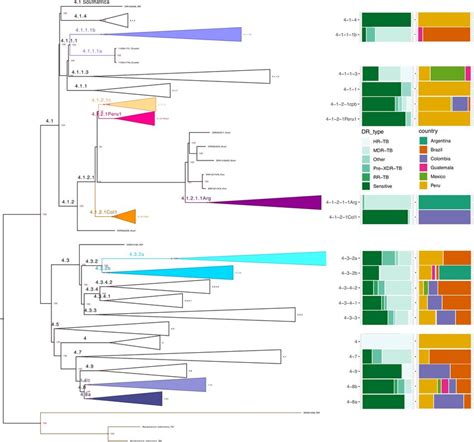 Phylogenomic Tree Maximum Likelihood Phylogenomic Tree Constructed