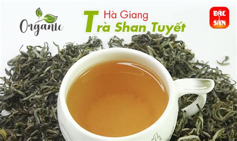 Chè Shan Tuyết Cổ Thụ Hà Giang Cao Nguyên Đá Food