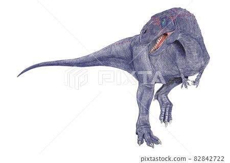 Abelisaurus Late Cretaceous Southern Hemisphere Stock Illustration