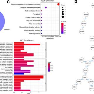 Bioinformatics Analysis Of Mir And Its Target Genes A Prediction