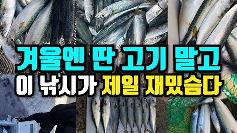 겨울엔 딴 고기 말고 이 낚시가 제일 재미 있습니다 울산 방어진 민섬 겨울 고등어낚시 디낚tv 취재브리핑 Youtube