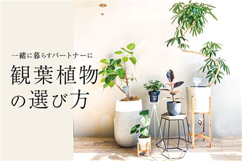 インテリアショップstyleスタイル｜群馬・家具 群馬、栃木、埼玉で家具・インテリアならインテリアショップスタイルへ