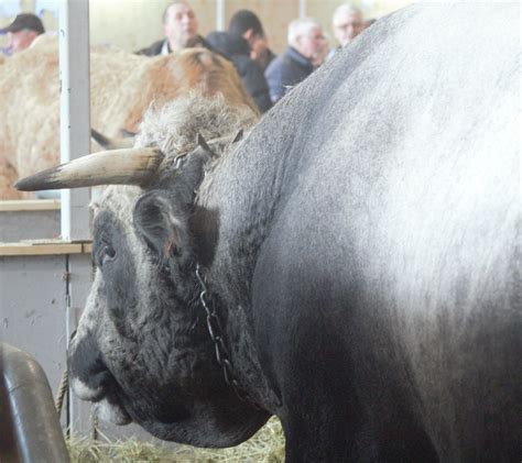 Les Hautes Pyrénées à Lhonneur Au Salon International De Lagriculture