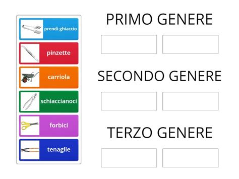 Riconosci Negli Oggetti I Tipi Di Leve Group Sort