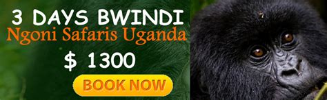 Top 5 Reasons Why Uganda Is A Special Tourist Destination In Africa