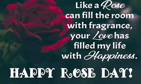 Amazing Romantic Rose Day Quotes Quotesproject