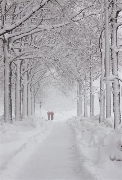 Washington Dc Blizzard Stock Photo Image Of Weather 12892258