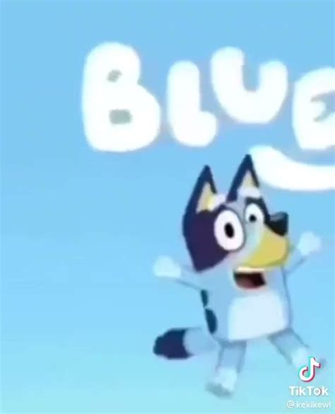 Rip Bluey Youtube