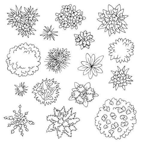 Flower Garden Top View Illustrations Royalty Free Vector Graphics