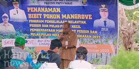 DKP Papua Barat Tanam 3.500 Pohon Mangrove di Pesisir Pantai Kaimana ...