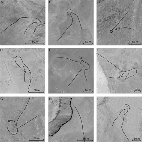 Scientists discover the mind-blowing technique ancient Arabs used to hunt in the desert ...