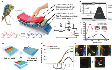 A Illustration Of The Soft Hisd Composed Of Swcnt‐coated Pdms And