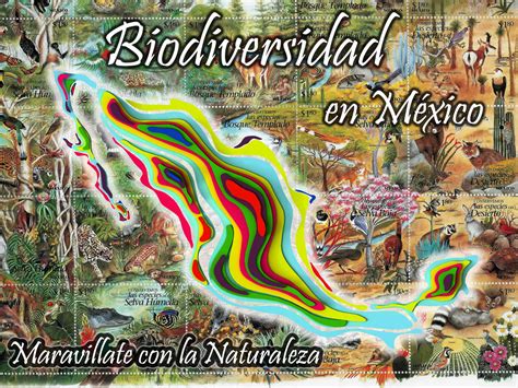 PROYECTO MARAVILLATE CON LA NATURALEZA BIODIVERSIDAD EN MÉXICO