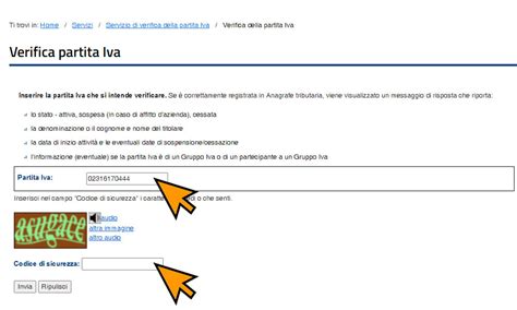 Verifica Del Codice Fiscale E Della Partita Iva Strumenti Gratuiti