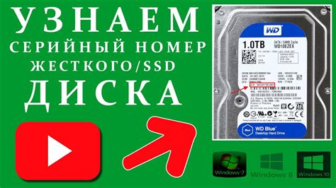 Серийный номер Hdd или Ssd диска в Windows 10 8 как узнать Youtube