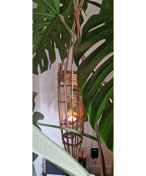 Willow Weaving Workshops Visit South Cambs