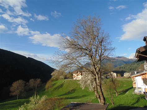 Madonna di Campiglio Italia Qué hacer en Trento