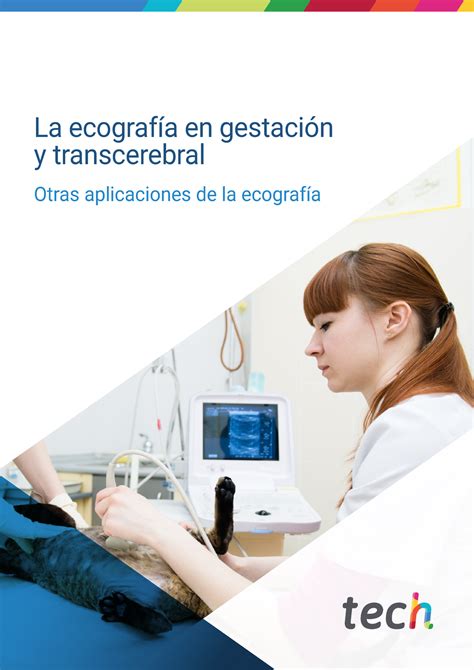 La Ecografa En Gestacin Y Transcerebral La Ecograf A En Gestaci N