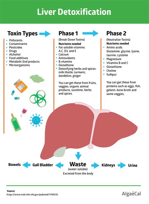 Detox Your Body Naturally For Bone Health