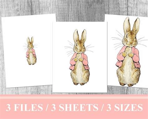 Digital Collage Sheet Peter Rabbit Pink Jacket Beatrix Potter Etsy