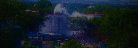 Vizag Gas Leak Who Is Liable