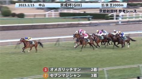 京都新聞杯gii2023 参考レース 競馬予想動画 Netkeiba