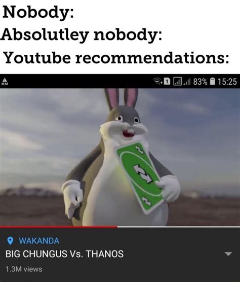 Nobody: Absolutley nobody: Youtube recommendations: BIG CHUNGUS Vs ...