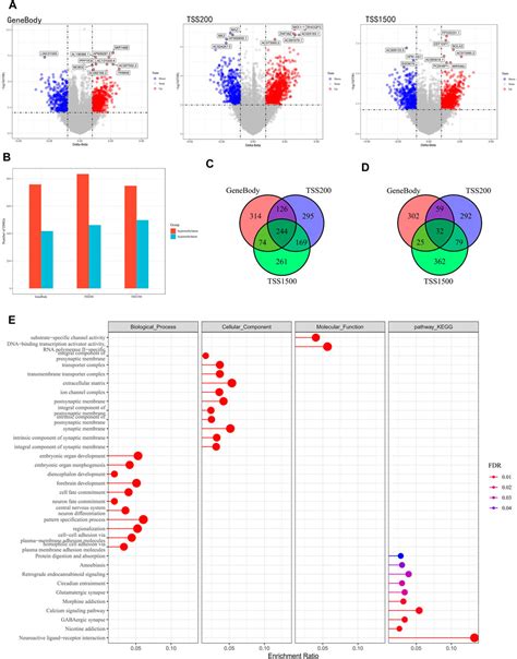 Frontiers Bioinformatics Based Construction Of Prognosis Related