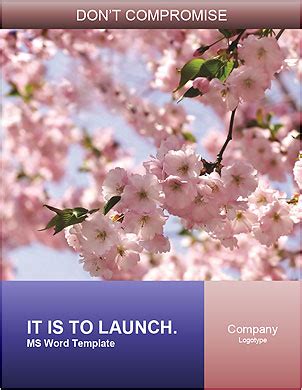 Discover The Beauty Of Cherry Blossoms A Guide To The Meaning And