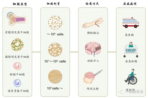 关山难越：全球干细胞治疗缺血性卒中临床试验现状梳理！ Medscicn