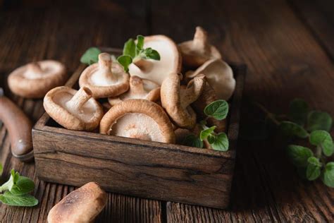 Ciuperci Shiitake Beneficii Proprietati Contraindicatii Dr Max