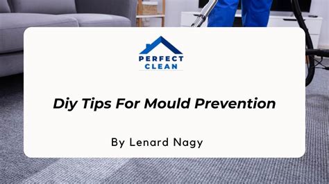 DIY Mould Prevention Tips to Keep Homes Fresh and lively