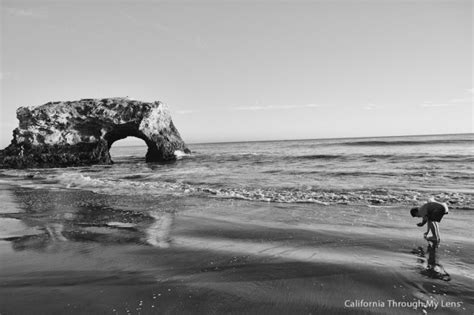 Natural Bridges State Beach: A Beach & A Sunset You Will Never Want To Leave - California ...