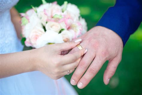 Mani Del S Della Sposa E Dello Sposo Del Primo Piano Con Le Fedi