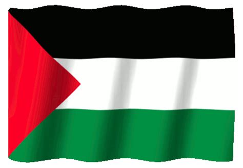 Palestine Flag Palestine Flag Palestine Flag Waving Png And Vector ...