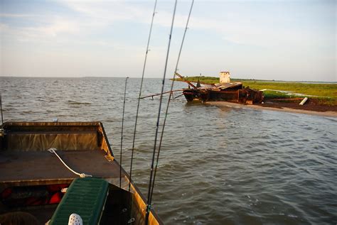 Shoreline Junk Larry Bozka Flickr