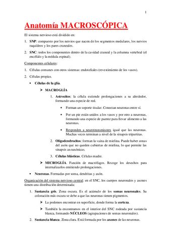 Pares Craneales Guillermo Castilla Garcia Pdf