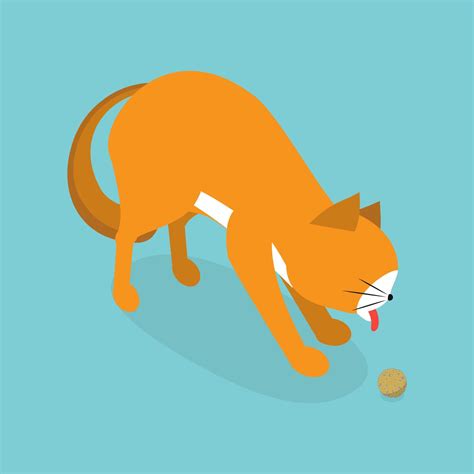 ways to cat vomiting naturally 8