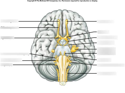 Ch Labelling Pt Diagram Quizlet