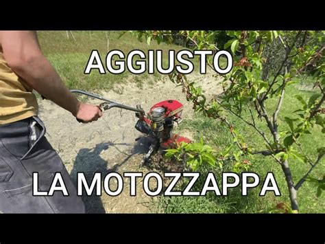 Rughe Ciclope Piuttosto Carburatore Per Motozappa Benassi Bl