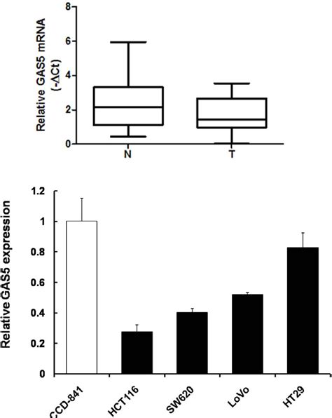 A Tumor Suppressive Role Of Lncrna Gas5 In Human Colorectal Cancer