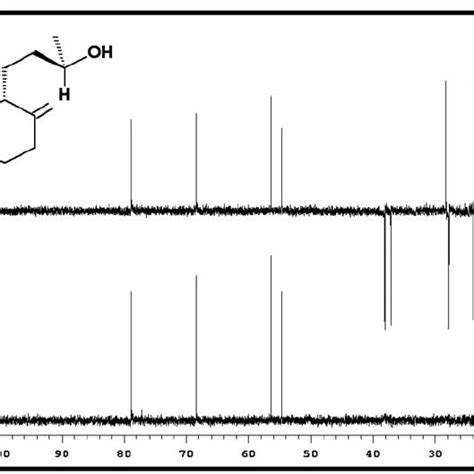 Figure S4 13 C Nmr Spectrum Dept 135 And 90 Of 13 R Download Scientific Diagram