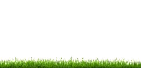 Premium Vector Grass Border Isolated