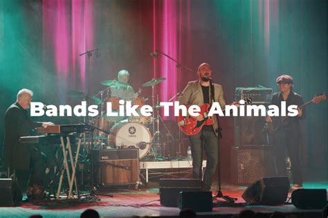 13 Incredible Bands Similar To The Animals